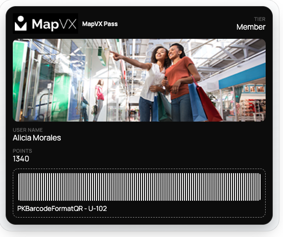 MapVX Pass